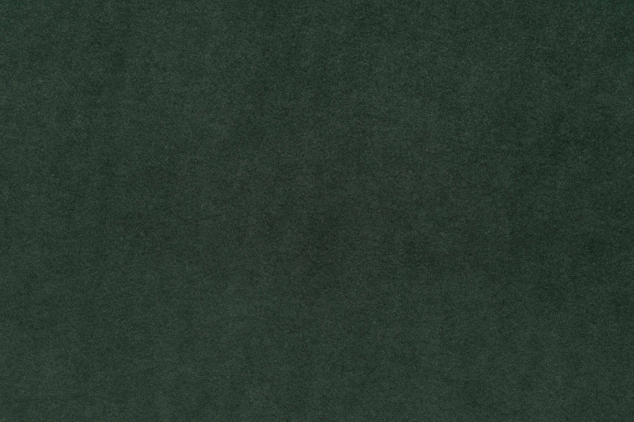colour sample #13 dark green velvet